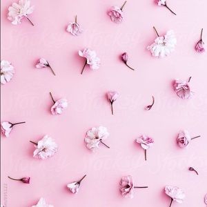 Meet your Posher, Gabby